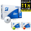 【7/15限定 最大1万Pバック要エントリー&抽選】ブリヂストンゴルフ(BRIDGESTONE GOLF)(メンズ、レディース)ゴルフボール エクストラ ソフト 12P 25EXTRA SOFT ダース(12個入り)
