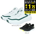 【7/18限定 最大1万Pバック要エントリー&抽選】スケッチャーズ(SKECHERS)(メンズ)ゴルフシューズ スリップインズ ゴーゴルフ フライト 214131