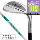 【12/26 1:59まで さらに最大P10倍】タイトリスト(TITLEIST)(メンズ)VOKEY SM10 ウェッジ Mグラインド N.S.PRO 950G...