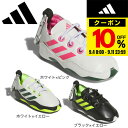 【9/10~ エントリーでさらに最大P10倍】アディダス(adidas)(レディース)ゴルフ コードカオス ボールケース 2個用 JTC43