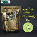 ゴールドジム（GOLD 039 S GYM）（メンズ レディース）ホエイ カゼイン ダブルプロテイン ビタミンB群 バニラ風味 2kg F7160 計量スプーン付 サプリメント