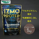 イズモ（IZMO）（メンズ、レディース）プロテイン ホエイ100 乳酸菌配合 マルチビタミン配合 筋トレ たんぱく質 チョコレート風味 1000g 約50食入