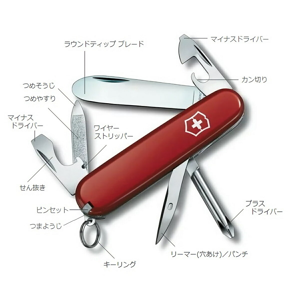 ビクトリノックス 公式 VICTORINOX ...の紹介画像3