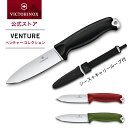 公式限定レビュー特典 ビクトリノックス ナイフ VICTORINOX 公式 ベンチャー 全3色 正規品 ナイフ アウトドア シースナイフ フルタング アウトドアナイフ キャンプナイフ ケース付き ステンレス バトニング 薪割り 調理 料理 ブッシュクラフト 火吹き棒 魚釣り 山登り
