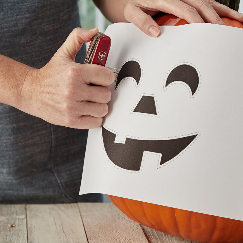 �������ȥ������ӥ塼��ŵ �ӥ��ȥ�Υå��� VICTORINOX ���� �ǥ�å����ƥ��󥫡� 1.4723�������� �ݾڽ��աۥ����ȥɥ� �ʥ��� ������ �ޤꤿ���ߥʥ��� ���񥻥å� ������ DIY �ץ饤�䡼 ������ �����ʥ��� �ץ쥼��� ���� ������ ���� ������� ����Ū �ɺҥ��å�