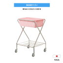 脱衣更衣ワゴン 565×525×810 多目的ワゴン キャスター付き 更衣ワゴン かご付き 収納 検査室 衣類置き 病院 接骨院 エステ 健康診断 介護施設 業務用 レントゲン室 業務用 カゴ スリム 更衣室 バスケットワゴン 浴場 脱衣かご 日本製 送料無料【メーカー直送】