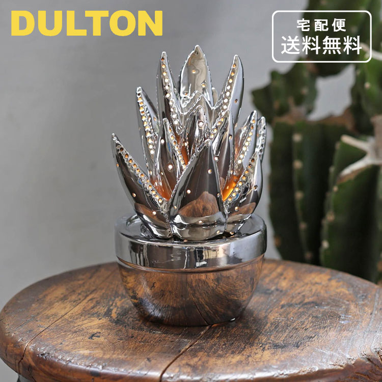 ダルトンポーセリンアロエライトクロ...