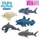 \P2倍+クーポン/ 定形外送料無料 どうぶつペンケース 海の生き物 筆箱 動物 シャーク ジンベエザメ シャチ シーラカンス アザラシ ぬいぐるみ