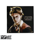 \P2倍+クーポン/ アートフレーム ハリーポッター Harry Potter アート ポスター KEETATAT SITTHIKET 送料無料 ポップアートフレーム インテリア アート ダニエル・ラドクリフ 海外 映画 パネル 輸入 オマージュ 絵