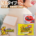 カイロ 貼るカイロ レギュラー 10枚 使い捨てカイロ まとめ買い 使い捨て 貼る 貼るタイプ レジャー お出かけ 屋外 防寒 寒さ対策 防災 備蓄 アイリスオーヤマカイロ アイリスオーヤマ ぽかぽか家族 *