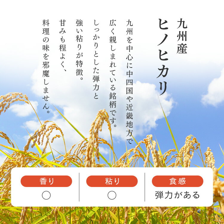 パックご飯 150g 24食 レトルトご飯 湯煎 保存食 非常食 防災食 長期保存 パックご...