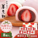 ごろっと苺大福 いちご大福 苺大福 8個 京都 養老軒 博多あまおう 白あん こしあん あまおう 大福 フルーツ フルーツ大福 和菓子 ギフト スイーツ プレゼ...
