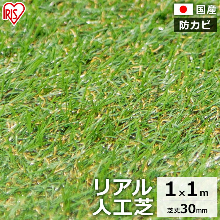 【国産/送料無料】人工芝 ロール 1m×1m 芝丈30mm IP-3011 国産 人工芝 リアル人工芝 国産人工芝 人工芝生 芝生 人工芝マット 芝生マット 芝丈3cm 人工芝ロール 芝生 庭 テラス アイリスオーヤマ 屋上緑化 u字ピン 水はけ ガーデニング バルコニー ベランダ 屋上