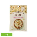 まいにち食べたい 松の実 松の実 岩塩 国内製造 荘園 正栄食品 Shoei シード まいにち食べたい 焙煎 個包装