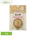【20個】まいにち食べたい 松の実 松の実 岩塩 国内製造 荘園 正栄食品 Shoei シード まいにち食べたい 焙煎 個包装