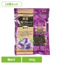 【10個】サンライズ 厳選大粒プルーン種ぬき 400g 正栄食品 Shoei ドライフルーツ 現地製造 プルーン 種ぬき 厳選 大粒 そのまま 個包装