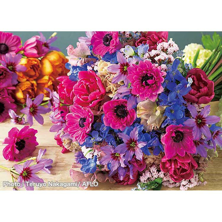 Rakuten - 500ピース 麗しのアネモネ 500-300アネモネ 500ピース ジグソーパズル 花 アップルワン