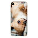 AQUOS sense3 plus SHV46 SH-RM11 ハード スマホ ケース カバー WANKO B イヌ 犬 ワンコ 写真 どうぶつ 動物 おもしろ ギフト グッズ かわいい アクオス センス3 プラス シャープ ハードケース Android docomo アンドロイド エーユー オーダーメイド おしゃれ おすすめ