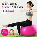 【 クーポン配布中! 】 バランスボール 55cm ヨガボール ダイエット エクササイズ ヨガ ピラティス ダイエット器具 ストレッチ 体幹トレーニング 人気 ...