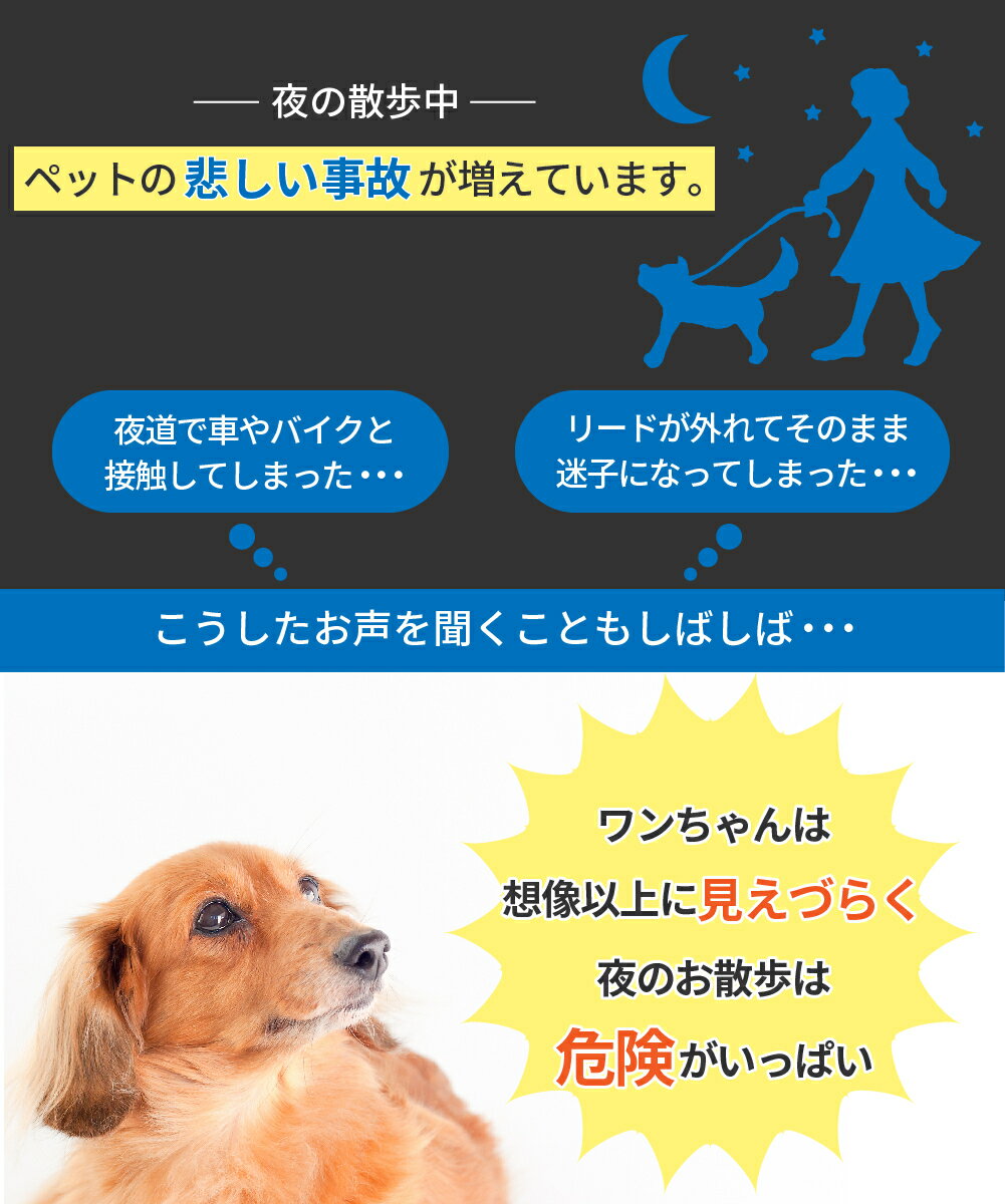 【ポイント5倍 / 本日23:59まで】光る首輪 USB充電式 LEDライト 犬 小型犬 中型犬 大型犬 夜 散歩 長さ調節可能 さんぽ ひかる ペット 安全 事故防止 首輪 ランニング 自転車 リード 点滅 点灯 猫 レインボー 35cm／50cm／70cm