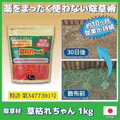 薬を使わない除草作戦、1ヶ月後が違う 除草剤　雑草対策 安心　安全　無害　草取り 農薬を使わないのに強力「除草」 日本製 ●除草材　草枯れちゃん 1kg 2