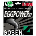GOSEN(ゴーセン) エッグパワー17 ブラック TS101BK