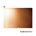 (まとめ)大王製紙 再生色画用紙 8ツ切10枚 銅(×5セット)