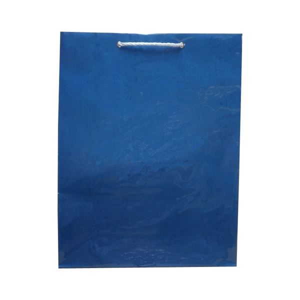 ■商品内容【ご注意事項】この商品は下記内容×5セットでお届けします。ビニールカバー付きで水や汚れに強い丈夫な手提袋です。■商品スペック●外形寸法（幅）【mm】：430●外形寸法（高）【mm】：560●外形寸法（マチ）【mm】：160●底板：有●口ボール：有●坪量：170g/平方メートル●色：あお●規格：特大＜超特大コンテナ＞●材質：本体＝レザック縄文紙、カバー＝ポリプロピレン、取っ手＝PPひも・ハトメ付●耐荷重：20kg●透明ビニールカバー付■送料・配送についての注意事項●本商品の出荷目安は【3 - 6営業日　※土日・祝除く】となります。●お取り寄せ商品のため、稀にご注文入れ違い等により欠品・遅延となる場合がございます。●本商品は仕入元より配送となるため、沖縄・離島への配送はできません。