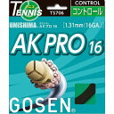 GOSEN(ゴーセン) ウミシマ AKプロ16 ブラック TS706BK