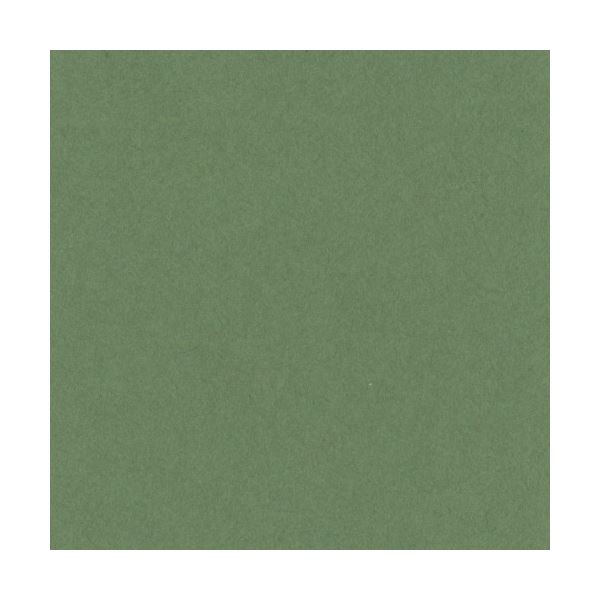 （まとめ）リンテック ニューカラーR 八つ切 オリーブ 8NCR-316 1パック(100枚)【×5セット】