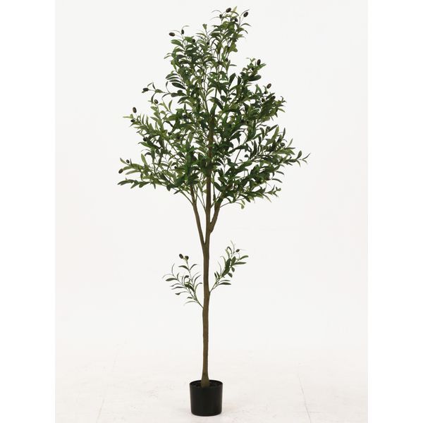 フェイクグリーン オリーブ 約180cm ジョイント【代引不可】