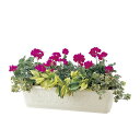 【2個セット】 リッチェル プランター アイボリー 55型 (植木鉢) 送料込!