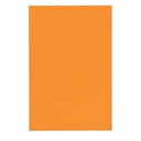 (業務用10セット) ジョインテックス マグネットシート 【ワイド/ツヤ有り】 ホワイトボード用マーカー可 橙 B210J-O 送料無料！