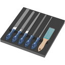 WERA ヴェラ 6点組 PFERDヤスリセット フォームインサート付 150183