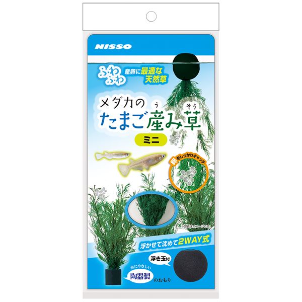 （まとめ）メダカのたまご産み草 ミニ【×5セット】 (観賞魚/水槽用品)
