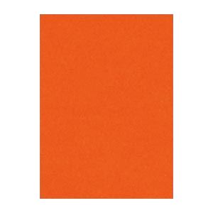 （まとめ） 文運堂 ニューカラーR 四ツ切 横392×縦542mm 4NCR-235 しゅいろ 100枚入 【×2セット】