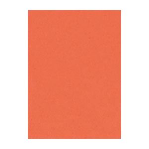 （まとめ） 文運堂 ニューカラーR 四ツ切 横392×縦542mm 4NCR-213 だいだい 100枚入 【×2セット】