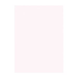 （まとめ） 文運堂 ニューカラーR 四ツ切 横392×縦542mm 4NCR-135 ピンク 100枚入 【×2セット】