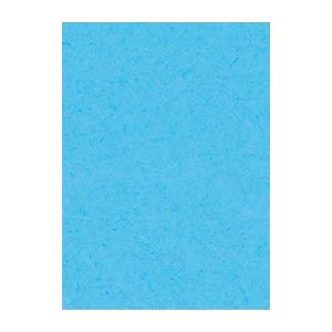 （まとめ） 文運堂 ニューカラーR 全判 横788×縦1091mm 10-211 みずいろ 10枚入 【×2セット】