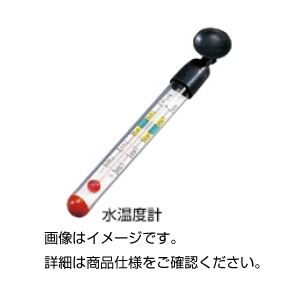 (まとめ)水温度計【×20セット】 (まとめ)水温度計【×20セット】
