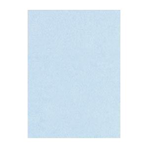 （まとめ） 文運堂 ニューカラーR 四ツ切 横392×縦542mm 4NCR-131 ラベンダー 100枚入 【×2セット】