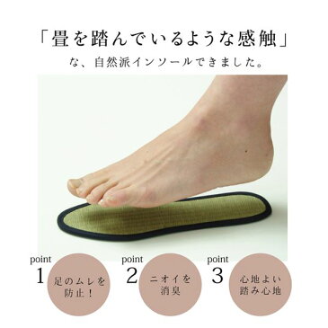 消臭&抗菌 インソール/中敷き 【約27cm】 ネイビー 日本製 ムレ防止 クッション性 『い草インソール』 〔靴〕
