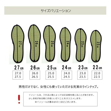 消臭&抗菌 インソール/中敷き 【約27cm】 ネイビー 日本製 ムレ防止 クッション性 『い草インソール』 〔靴〕