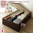 〔お客様組立〕 収納 ベッド 通常丈 セミダブル 跳ね上げ式 縦開き ロータイプ 深さ30cm 国産薄型ポケットコイルマットレス付き ダークブラウン ヘッドレス...