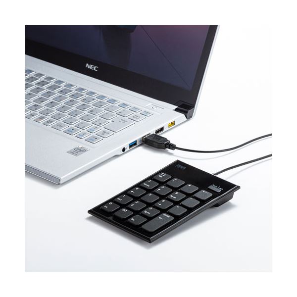 【中古】FILCO Majestouch MINILA-R Convertible CHERRY MX 赤軸 日本語配列66キー キーボード工房 「漆/しぶき塗り(黒)」 MatteBlack配色キーキャップ K