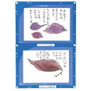 (まとめ)縦横連結掲示ホルダー A4【×50セット】