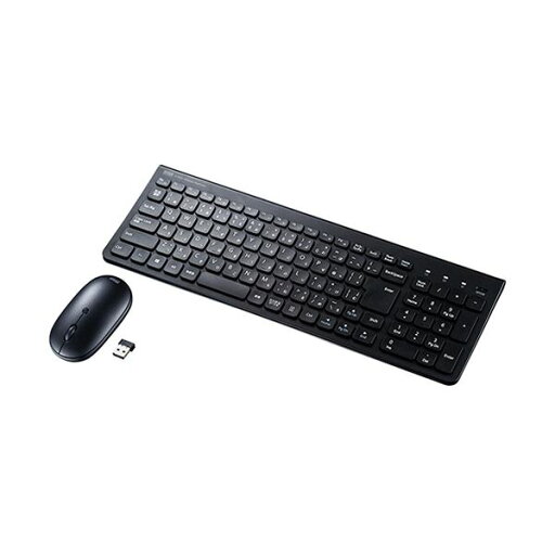 サンワサプライ マウス付きワイヤレスキーボード テンキー付き ブラック SKB-WL31SETBK 1セット サンワサプライ マウス付きワイヤレスキーボード テンキー付き ブラック SKB-WL31SETBK 1セット