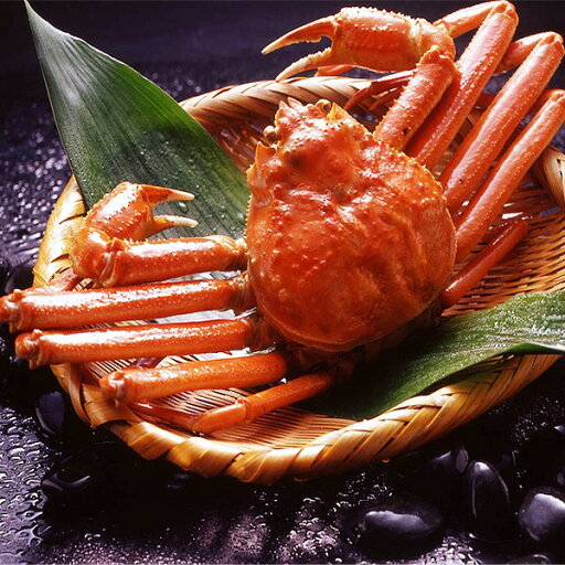 【身入り抜群のA級品!】カナダ産ボイルズワイガニ姿・約600g×1尾 冷凍ズワイ蟹【代引不可】 【身入り抜群のA級品!】カナダ産ボイルズワイガニ姿・約600g×1尾 冷凍ズワイ蟹【代引不可】
