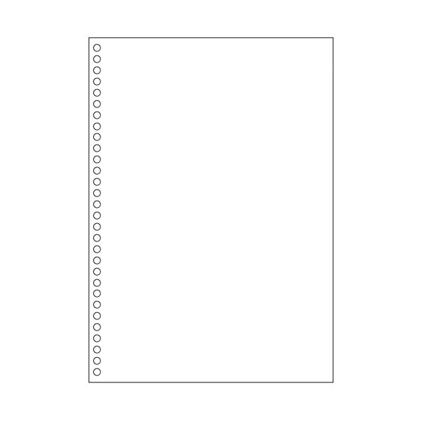 (まとめ）TANOSEEマルチプリンタ帳票(FSC森林認証紙) A4白紙 30穴 1セット(1000枚:500枚×2箱)【×3セット】 2