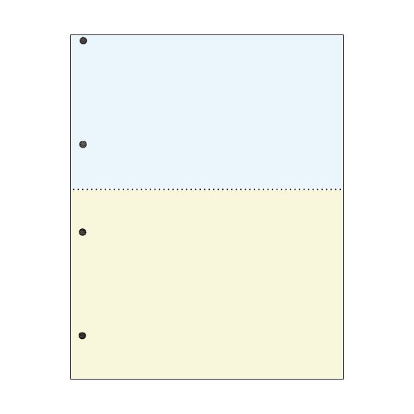 TANOSEE 汎用マルチタイププリンタ帳票 カラー用紙 A4 2分割 4穴 1箱（2500枚：500枚×5冊）